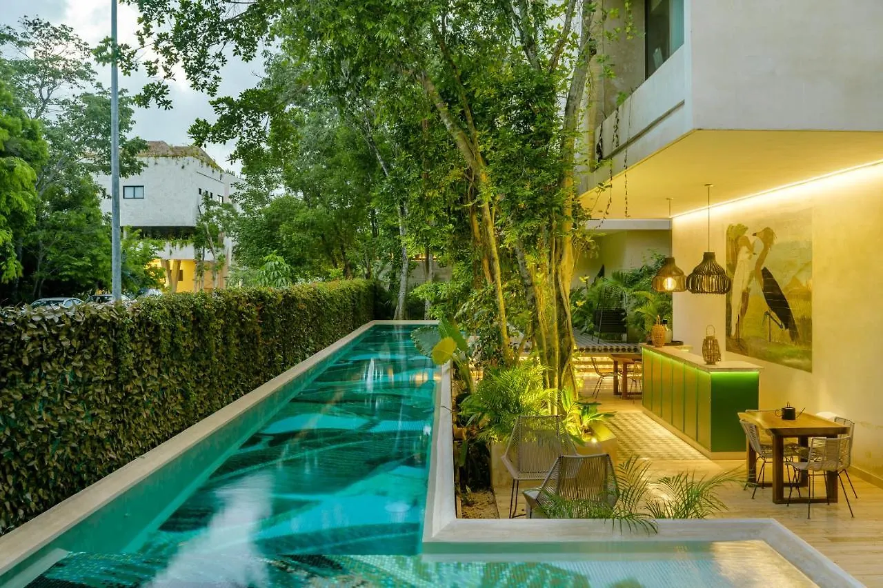 204 Hidden Gem Apartment In The Heart Of Tulum W/ Huge Private Terrace And Pool For 6 Pax メキシコ